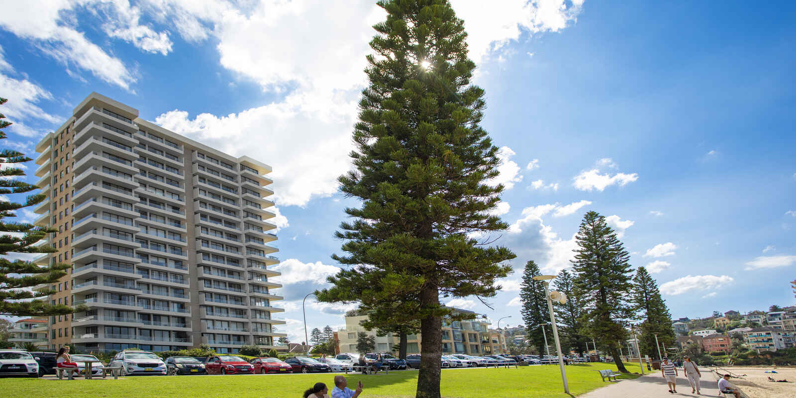 29/20 Bonner  Manly 29/20 Bonner  Manly