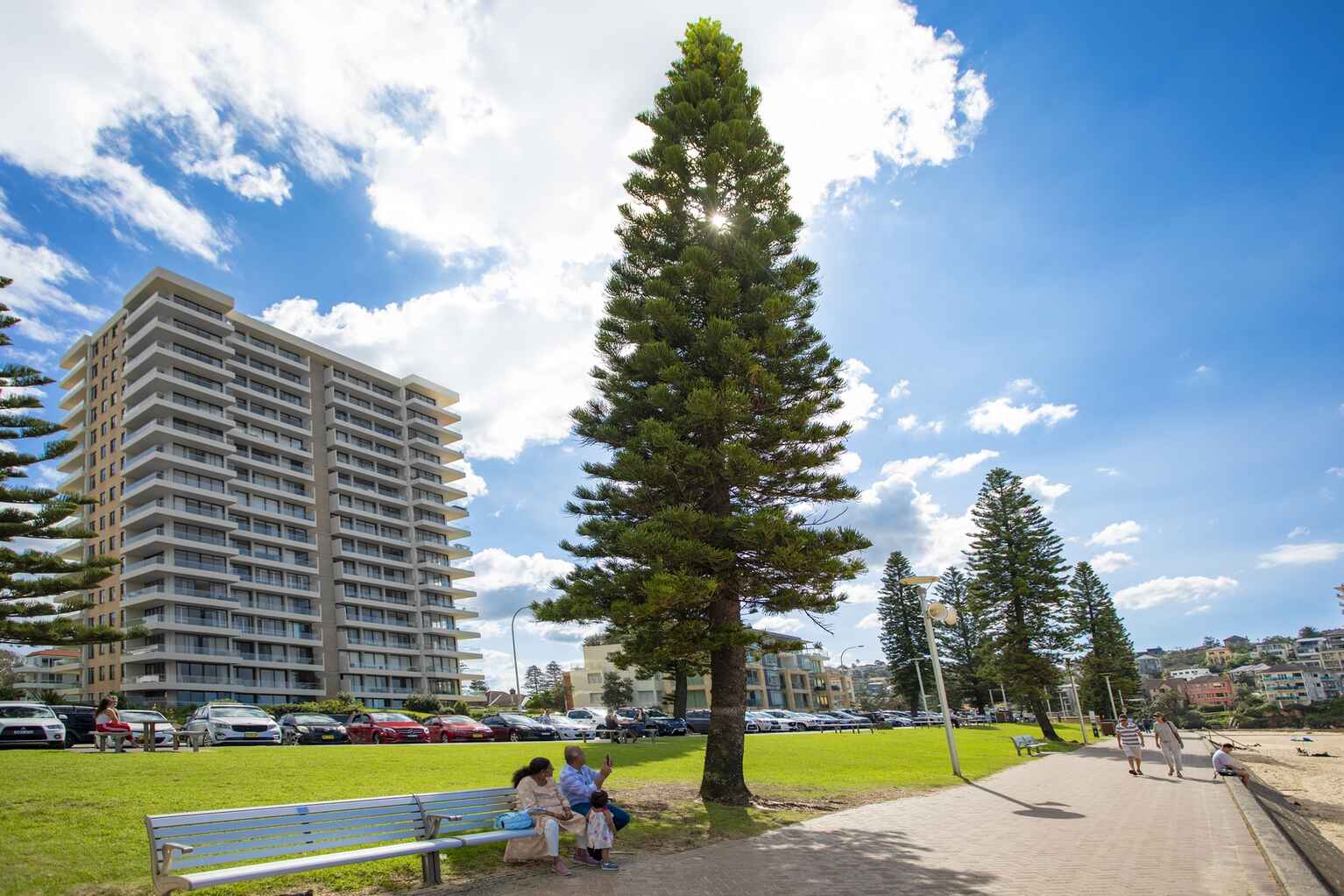 29/20 Bonner Manly 29/20 Bonner Manly