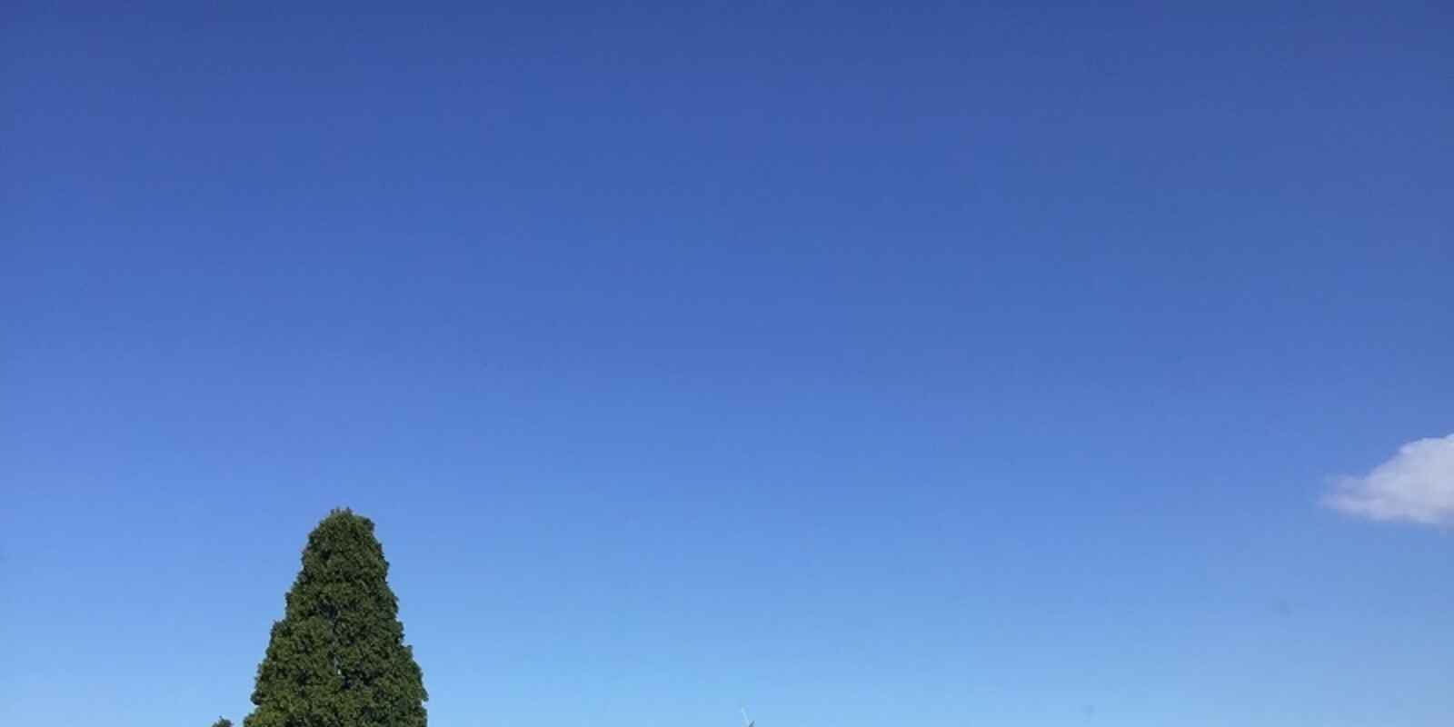 7/19 Shirley Road Wollstonecraft