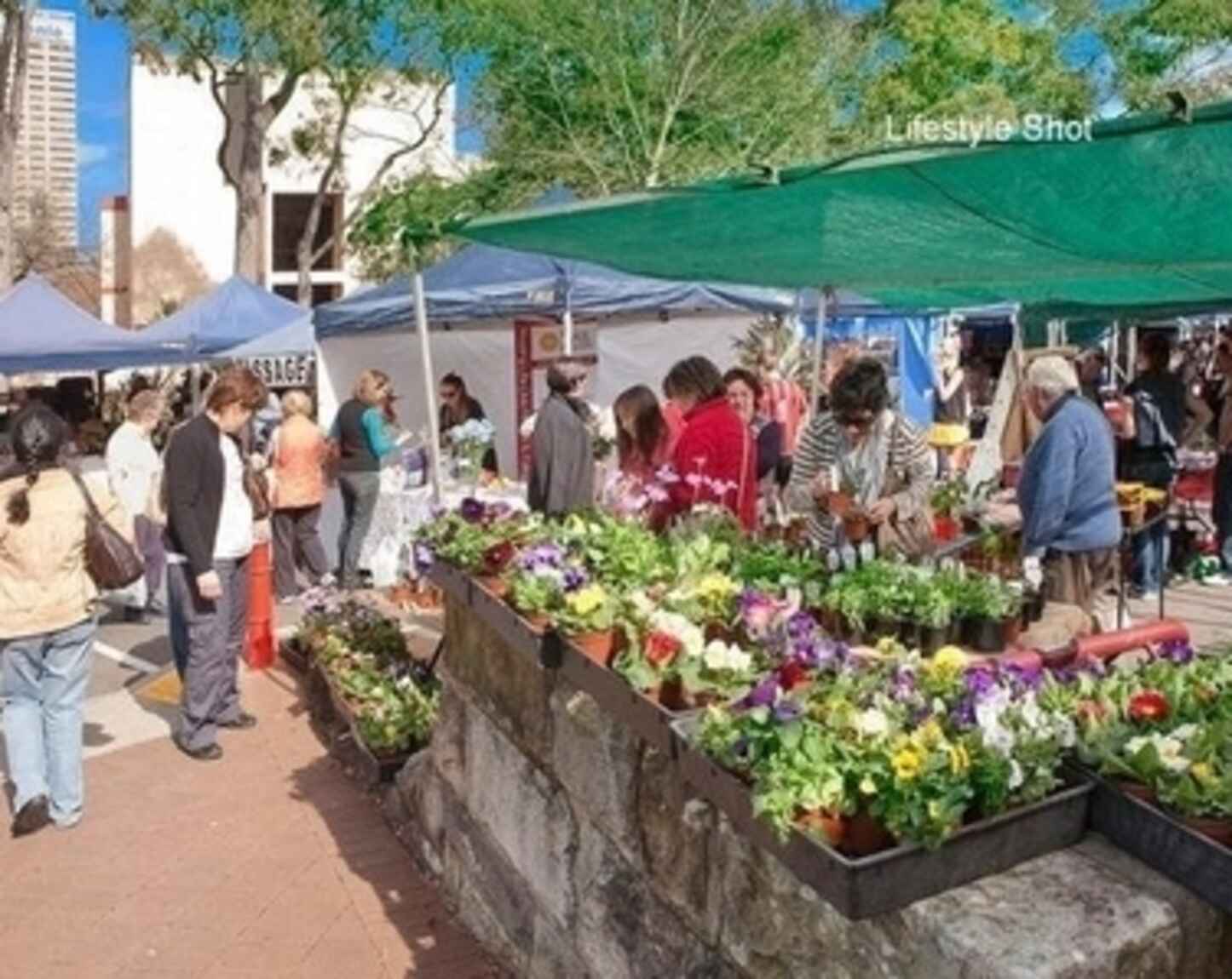 8/170 Falcon Street Crows Nest 8/170 Falcon Street Crows Nest