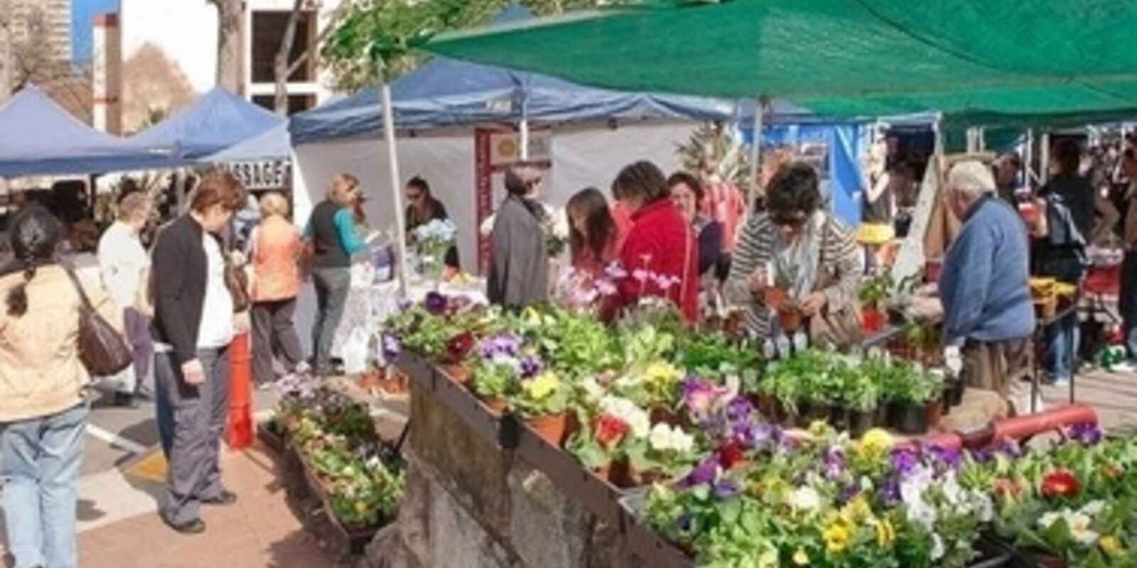 14/166 Pacific Highway North Sydney