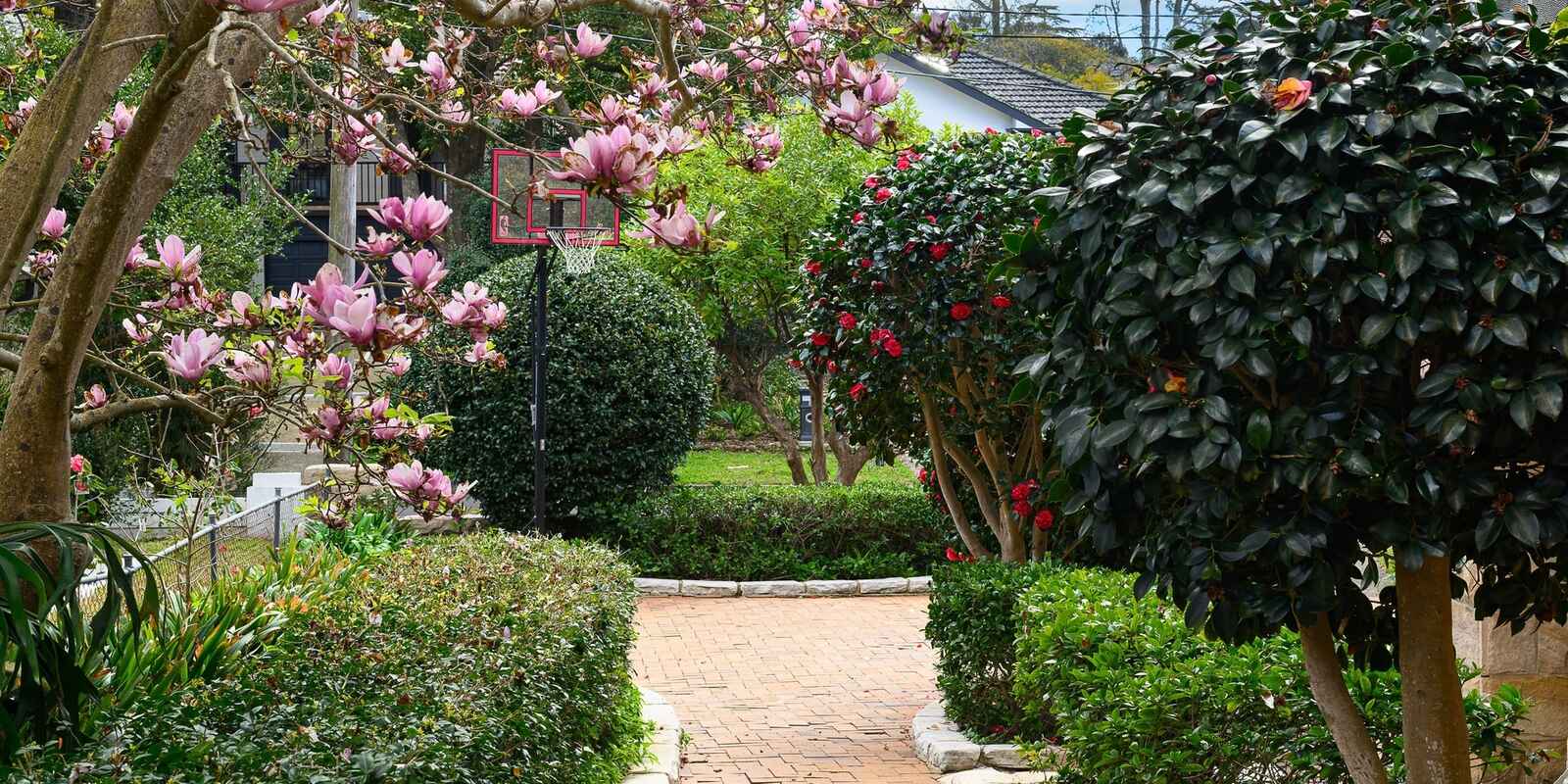 5 Elva Avenue Killara