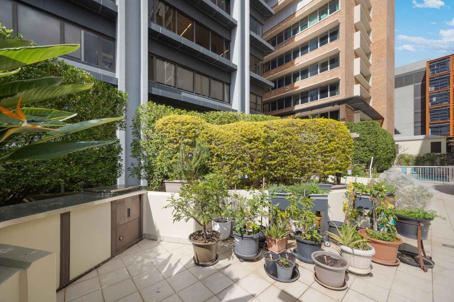 503/9 William Street North Sydney